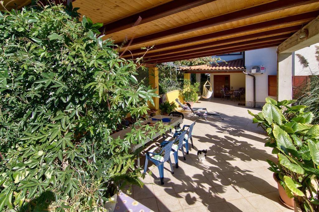 Apartments Caterina Пула Екстер'єр фото